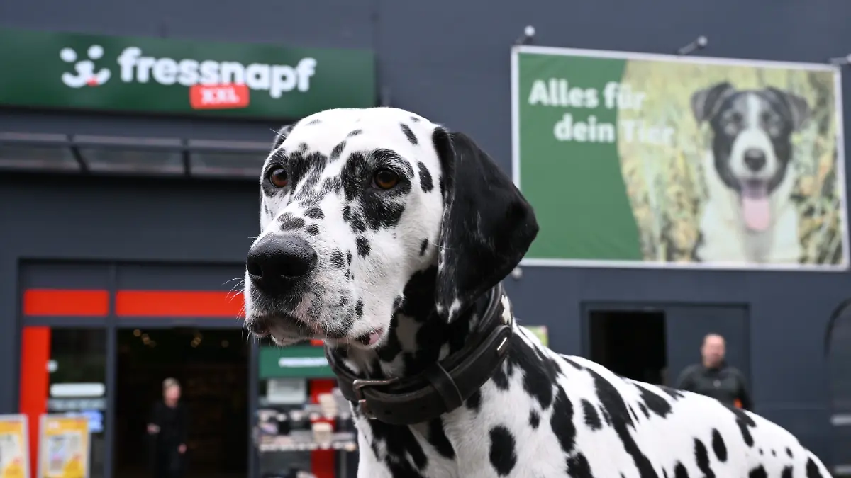 "Kunden sind preissensibler": Fressnapf will mit kleineren Innenstadt-Filialen expandieren