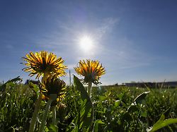 Baden-Württemberg: So lange hält das frühlingshafte Ferienwetter noch