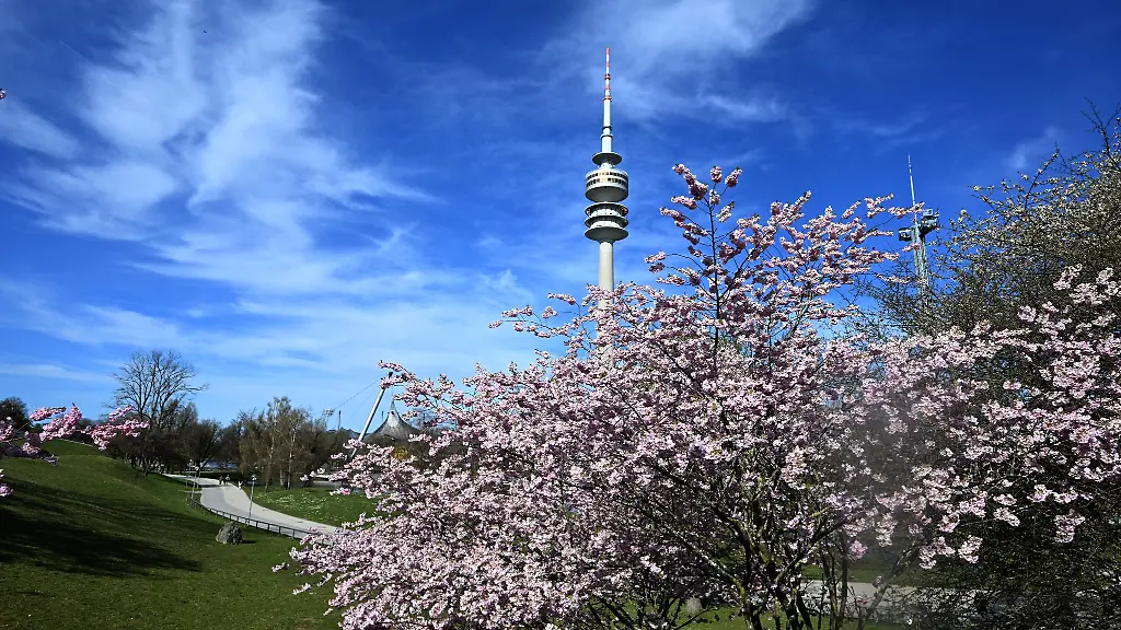 Am-Mittwoch-bleibt-es-sonnig