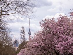 Berlin & Brandenburg: Wetter bleibt wechselhaft