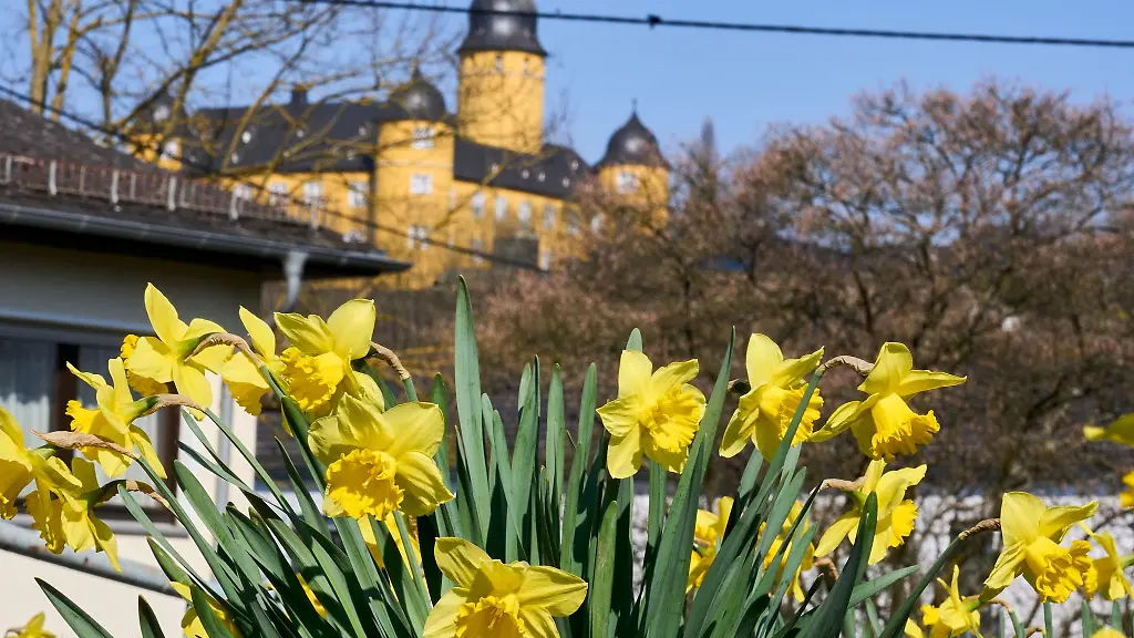 Ueberwiegend-sonnige-Tage-stehen-den-Menschen-in-Rheinland-Pfalz-und-dem-Saarland-bevor
