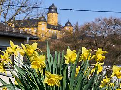 Rheinland-Pfalz & Saarland: Nach milden Tagen wird es am Freitag kühler