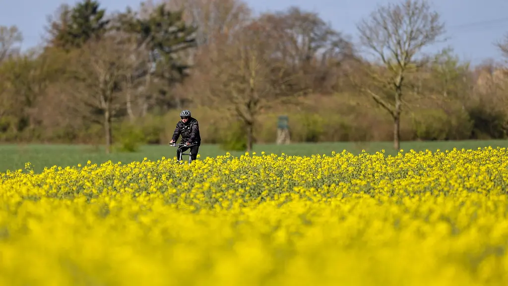 Ueberwiegend-bleibt-das-Wetter-auch-in-den-kommenden-Tagen-freundlich