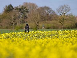 Nordrhein-Westfalen: Freundliches Frühlingswetter in NRW