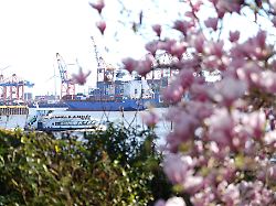 Hamburg & Schleswig-Holstein: Im Norden bleibt es frühlingshaft