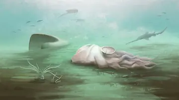 Fossil Pohlsepia mazonensis