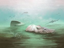 Berühmtes, uraltes Fossil: Ältester Oktopus aus Guinness-Buch ist gar keiner