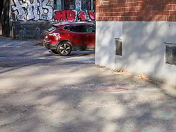 Berlin & Brandenburg: Blumenkübel erschlägt Mann – Obduktion angeordnet