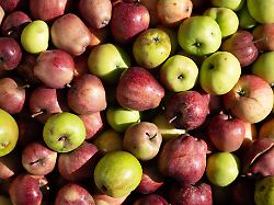 Sachsen: Messe in Leipzig rückt Bio-Trends in den Fokus