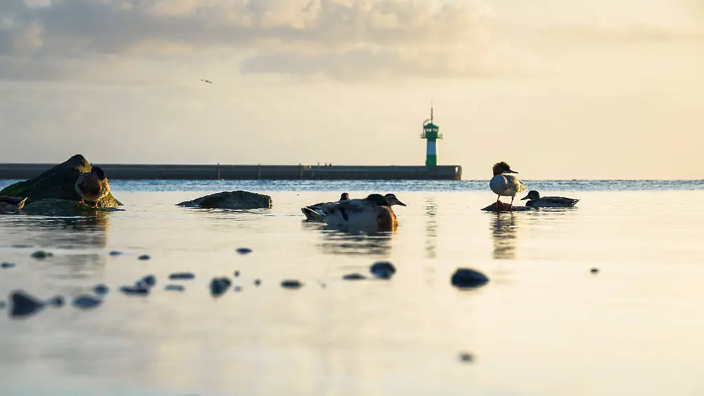 imago0104187185h