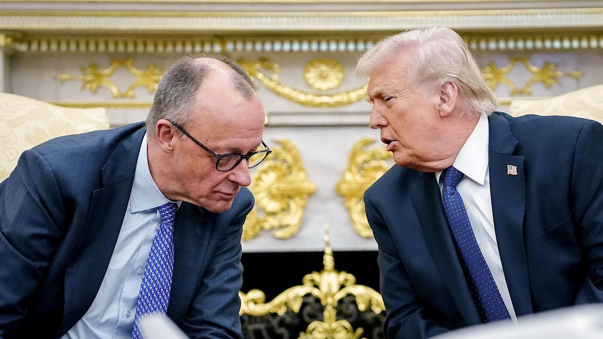 First conversation after the ceasefire: Merz urges diplomatic steps in ...