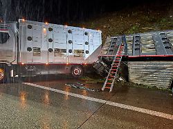 Rheinland-Pfalz & Saarland: Innenminister stellt Verkehrsunfallbilanz 2025 vor