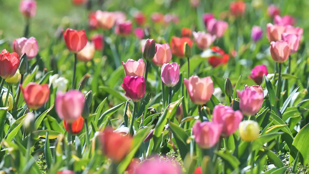 Das-Wetter-in-Bayern-soll-fruehlingshaft-bleiben