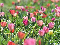 Bayern: Sonne-Wolken-Mix über Bayern