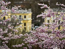 Hessen: Erst Sonne, dann Regen - Aprilwetter in Hessen