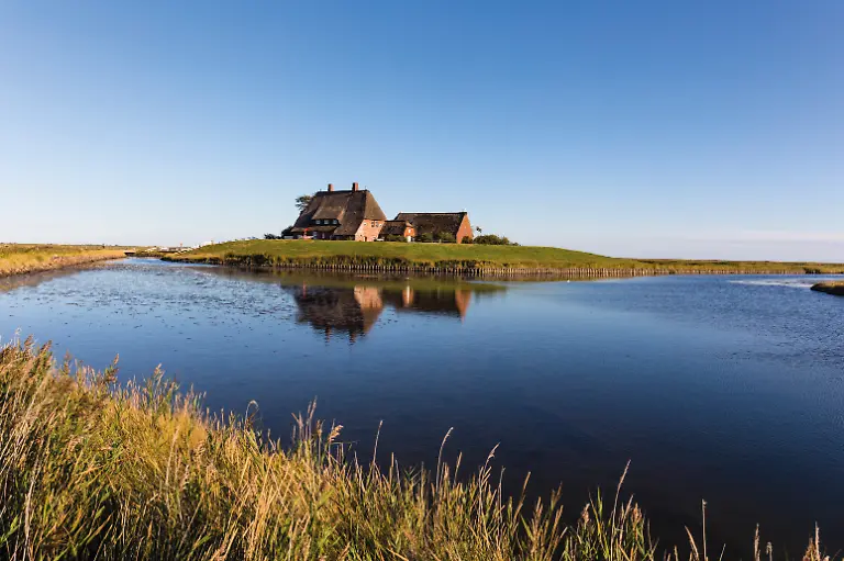 Deutschland-Schleswig-Holstein-Hallig-Hooge-Nordsee-Nordfriesische-Inseln-Nordfriesland-Wattenmeer-Nationalpark-Schleswig-Holsteinisches-Wattenmeer-Warft-auf-der