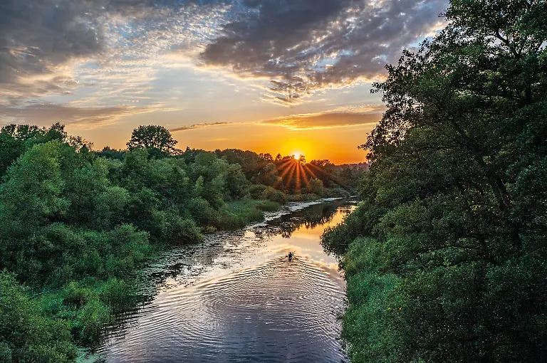 AdobeStock_425474942