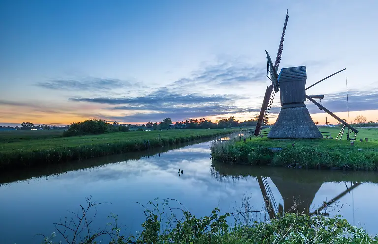 Honigfleth-msu-2020-30