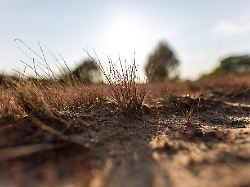 Expertin zur drohenden Krise: Trocknet Deutschland trotz Regen allmählich aus?