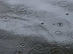 Baden-Württemberg: Frühlingswetter pausiert - wo es gewittern kann