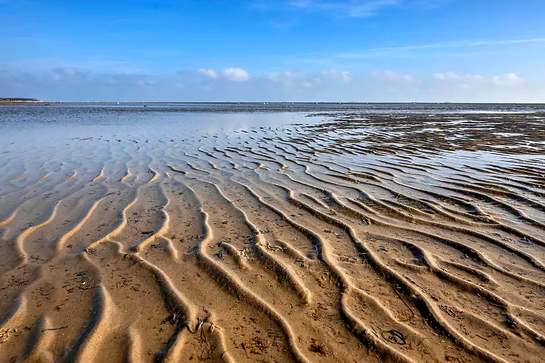 Wattenmeer-auf-der-Nordseeinsel-Foehr-Schleswig-Holstein-Deutschland