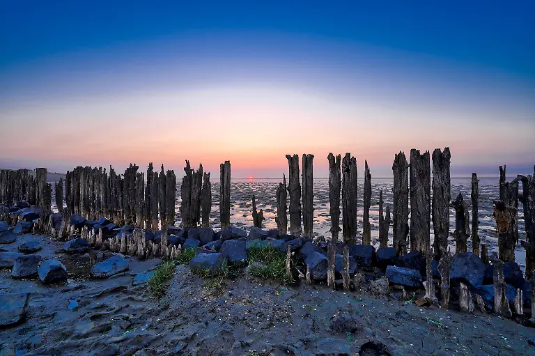 View-of-the-Wadden-Sea-during-sunset-at-low-tide-A-colorful-dramatic-sky-Wooden-posts-as-a-silhouette-in-the-mud-UNESCO-Wadden-Sea-World-Heritage