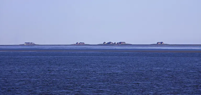 Haeuser-auf-Warften-auf-den-Halligen-Langeness-Hallig-Langeness-Nationalpark-Wattenmeer-Nordfriesland-Deutschland-Europa