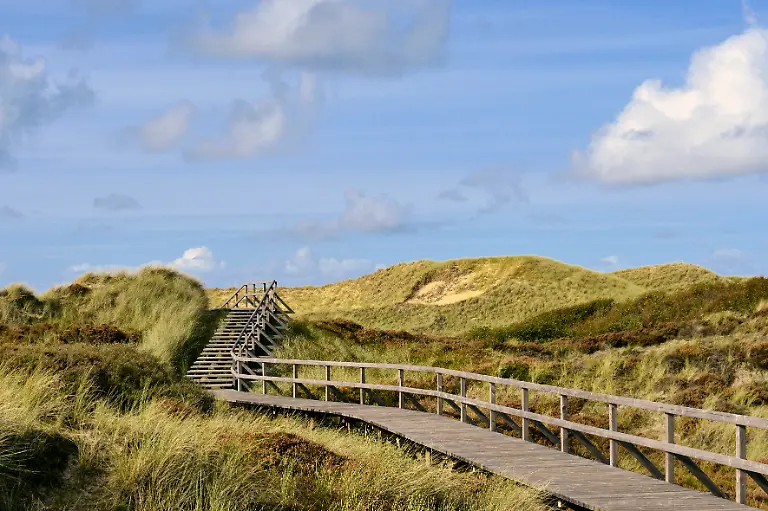 Hoelzerner-Bohlenweg-mit-Treppe-im-unter-Naturschutz-stehenden-Amrumer-Duenengebiet-bei-Norddorf-13-09