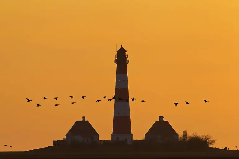 Gaenseschwarm-und-Leuchtturm-Westerheversand-bei-Sonnenuntergang-Westerhever-Nordfriesland-Schleswig-Holstein-Deutschland-Europa-Geese-swarm-and-Lighthouse-Westerheversand-at-Sunset-Westerhever-north-frisia-Schleswig-Holstein-Germany-Europe-Copyright-imageBROKER-alimdix-xArterra-ibltsm08888046
