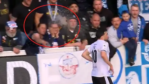 Hansa Fans