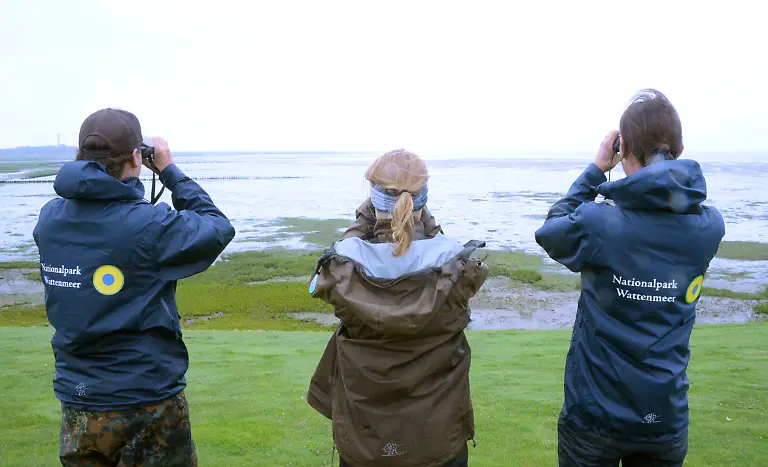 Nico-Erdmann-l-r-Parkranger-im-Nationalpark-Wattenmeer-auf-Norderney-Britta-Steger-Bundesfreiwillige-auf-Norderney-und-Niels-Biewer-Parkranger-im-Nationalpark-Wattenmeer-auf-Norderney-blicken-am-22-8-2016-auf-der-ostfriesischen-Insel-Norderney-Niedersachsen-mit-Fernglaesern-auf-das-Watt-Auf-der-Insel-kuemmern-sich-hauptamtliche-Ranger-um-den-Naturschutz-Foto-Matthias-Arnold-dpa-zu-dpa-Interessensvertreter-der-Natur-Parkranger-unterwegs-im-Wattenmeer-vom-16-09