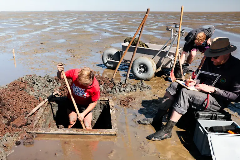 Ruth-Blankenfeldt-l-Archaeologin-vom-Zentrum-fuer-Baltische-und-Skandinavische-Archaeologie-und-Bente-Sven-Majchczack-r-vom-Exzellenzcluster-Roots-an-der-Kieler-Christian-Albrechts-Universitaet-untersuchen-Erdproben-Forschende-hatten-bei-der-Hallig-Suedfall-durch-geophysikalische-Arbeiten-eine-bislang-unbekannte-zwei-Kilometer-lange-Kette-mittelalterlicher-Warften-des-untergegangenen-Handelsplatzes-Rungholt-im-nordfriesischen-Wattenmeer-entdeckt-Eine-dieser-Warften-zeige-Strukturen-die-zweifelsfrei-als-Fundamente-der-Rungholter-Kirche-von-40-mal-15-Meter-Groesse-zu-deuten-seien-Der-Handelsplatz-Rungholt-fiel-1362-einer-verheerenden-Sturmflut-zum-Opfer-der-Groten-Mandraenke-Sie-gilt-als-Geburtsstunde-Nordfrieslands-in-seiner-heutigen-Form-Sie-trennte-Halbinseln-vom-Festland-und-verpasste-der-damaligen-Insel-Strand-einen-Keil