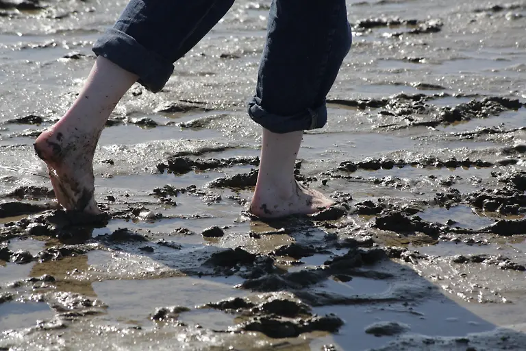 05-04-2009-Westerhever-Schleswig-Holstein-Deutschland-Fuesse-im-Schlick-Aktivitaeten-aussen-Aussenaufnahme-barfuss-deutsch-Deutschland-Ebbe-entspannen-Entspannung-erholen-Erholung-Erlebnis-Europa-europaeisch-Ferien-Flut-Frau-Freizeit-friesisch-Friesland-Fuesse-Fuss-Fussabdruck-Fussgaengerin-Fussspuren-gehen-Gezeiten-Halbinsel-Eiderstedt-Kueste-Kuestenlandschaft-matschig-Mensch-nass-Nordfriesland-Nordsee-Nordseekueste-Reise-Sand-sandig-Sandspuren-Sandstrand-Schlamm-Schleswig-Holstein-Schlick-Schritt-spazieren-Spaziergang-Spuren-Strand-Strandurlaub-Symbolfoto-symbolisch-Tourismus-Ufer-Urlaub-verreisen-wandern-Wanderung-Wasser-Watt-Wattenmeer-wattwandern-Wattwandertour-Wattwanderung-Westerhever-Westeuropa-westeuropaeisch-QF-Aktivitaeten-europaeisch-Fuesse-Fussgaengerin-Kueste-Kuestenlandschaft-Nordseekueste-westeuropaeisch-0PR090405D023CARO