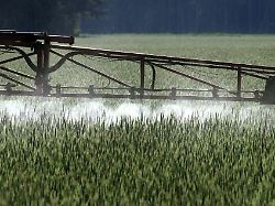 Mecklenburg-Vorpommern: Unbekannte stehlen literweise flüssiges Pflanzenschutzmittel