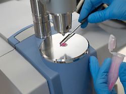 Mecklenburg-Vorpommern: Regelmäßiges Drug-Checking im Rostocker Gesundheitsamt