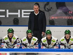 Berlin & Brandenburg: Eisbären verlieren zweites DEL-Halbfinalspiel gegen Köln