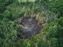 Rheinland-Pfalz & Saarland: Frühling bringt Waldbrandgefahr nach Rheinland-Pfalz