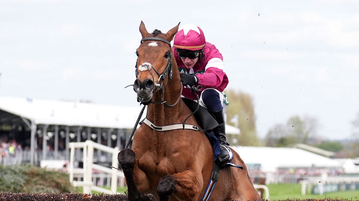 "Die Regierung muss handeln": Rennpferd nach Triumph beim Grand National eingeschläfert