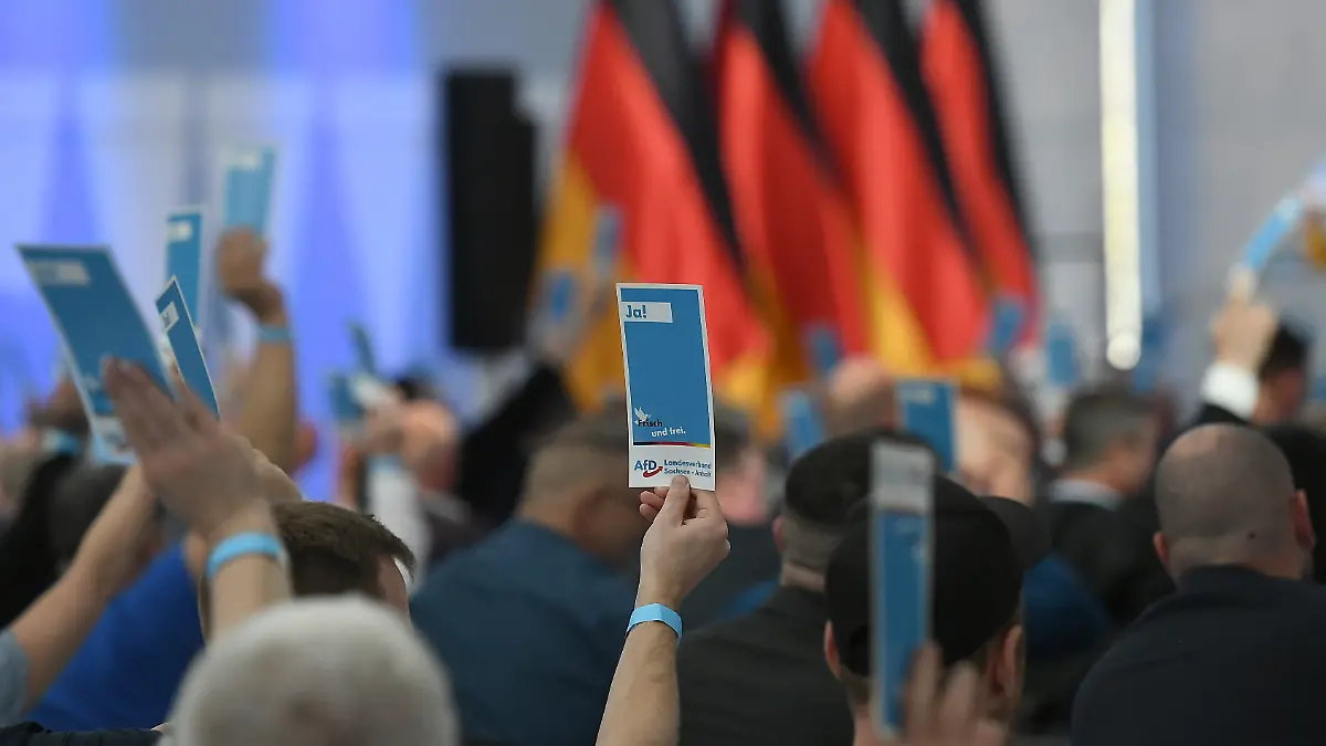 Partei will allein regieren: AfD in Sachsen-Anhalt strebt "45 Prozent plus X" an