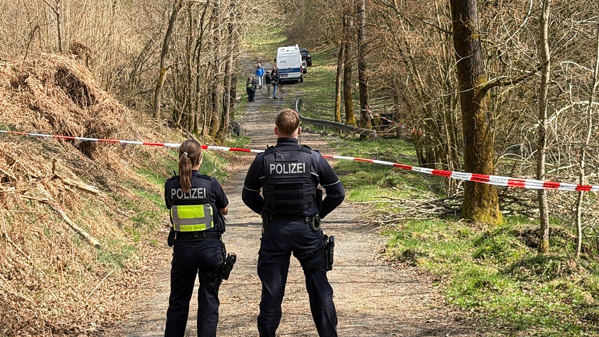 Nach Fund von Händen und Körper: Müllsammler entdecken menschlichen Kopf im Wald 