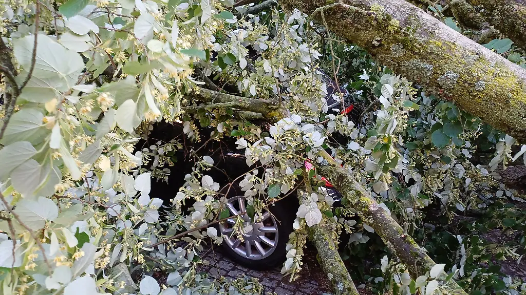 Sturm-Hagel-und-Blitz-richteten-vergangenes-Jahr-in-Thueringen-deutlich-weniger-Schaeden-an-Autos-an