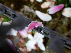 Bayern: Aprilwetter in Bayern – Sonne, Regen und Gewitter im Wechsel