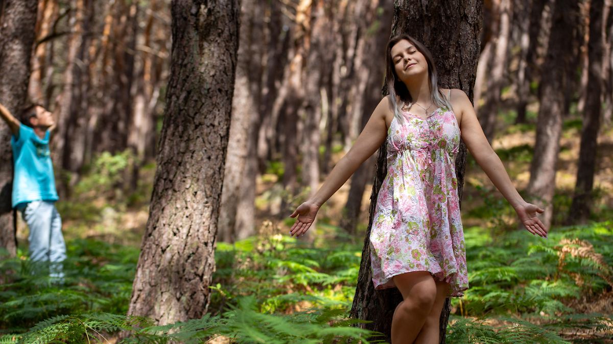 Nur eine Minute reicht: Welche Waldgeräusche am wohlsten tun