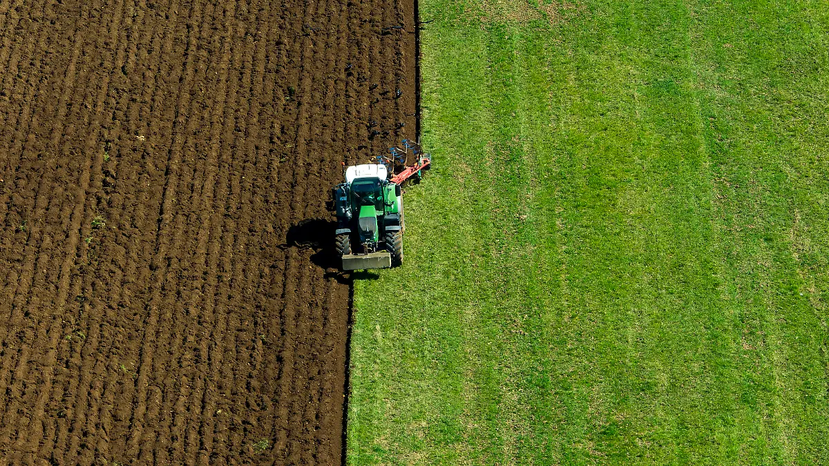 "Lebensmittel als Waffe": EU-Agrarkommissar warnt vor "gefährlichen Abhängigkeiten"