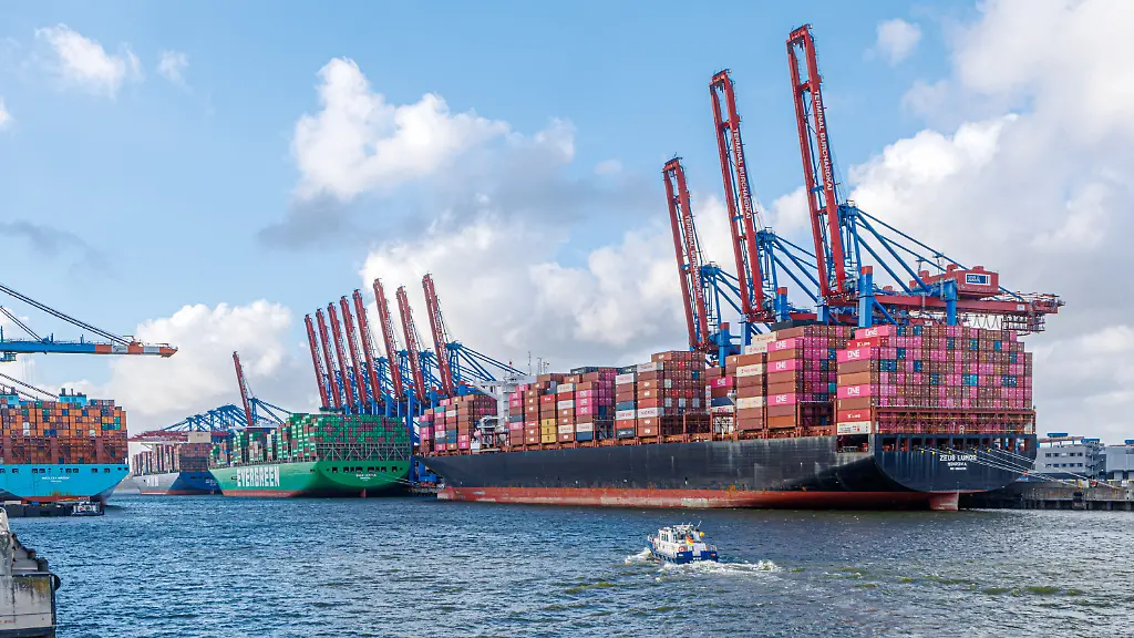 Containerschiffe-liegen-am-Hamburger-Burchardtkai