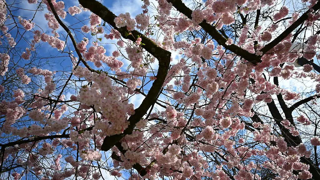Es-ist-in-Hessen-verbreitet-heiter-und-sonnig