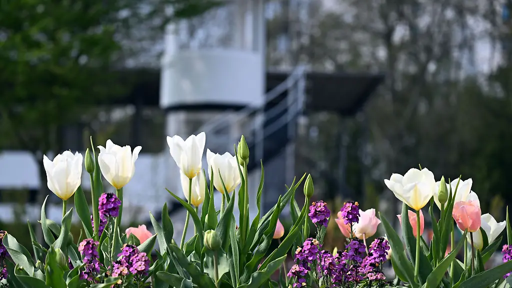 In-den-kommenden-Tagen-den-Regenschirm-nicht-vergessen-etwa-fuer-die-Landesgartenschau-in-Neuss
