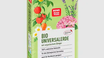Blumenerden im Test - das Ergebnis berrascht selbst den Experten - ntv.de