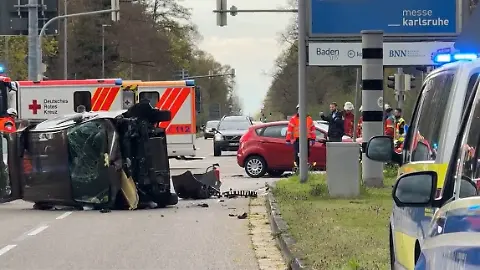 Ameisen Karlsruhe