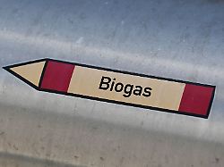 Nordrhein-Westfalen: Biogasanlage undicht - Bevölkerung in Nieheim gewarnt